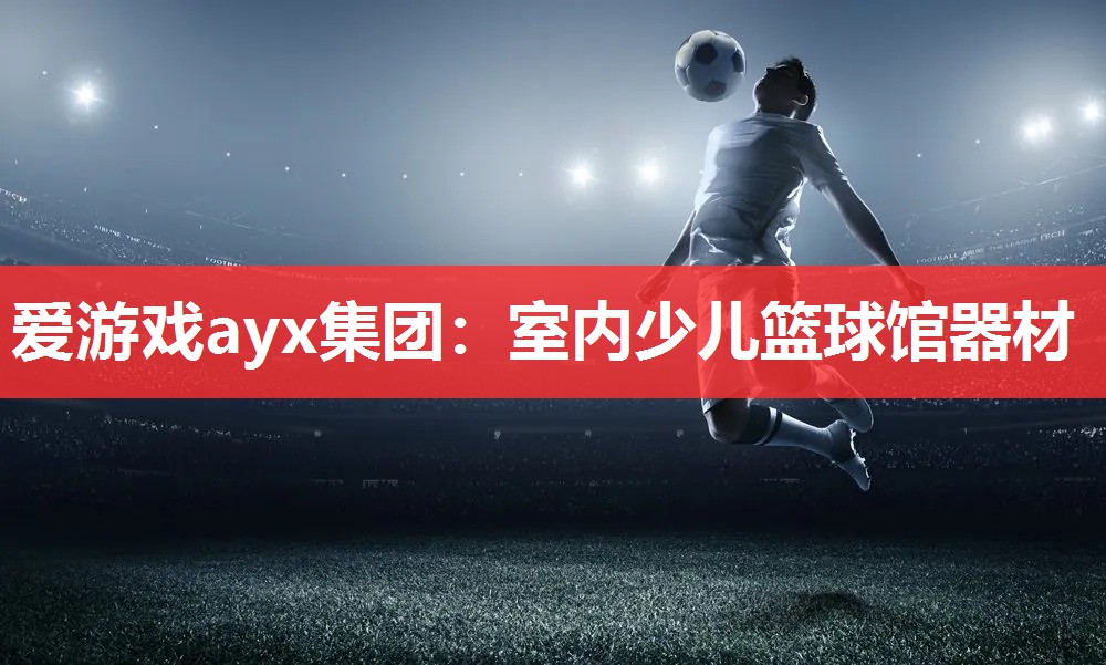 爱游戏ayx集团：室内少儿篮球馆器材