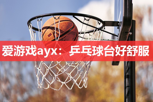 爱游戏ayx：乒乓球台好舒服