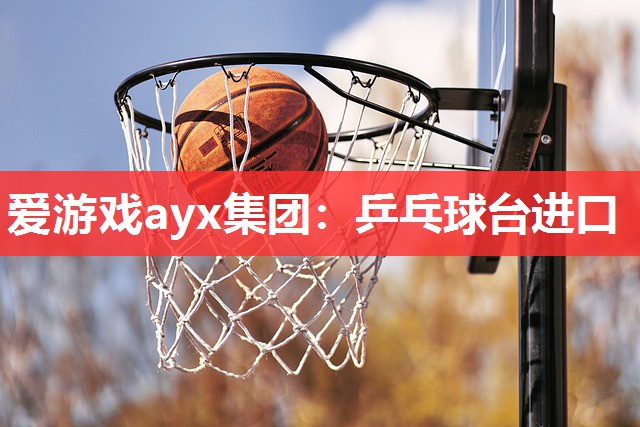 爱游戏ayx集团：乒乓球台进口