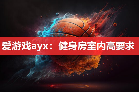 爱游戏ayx：健身房室内高要求